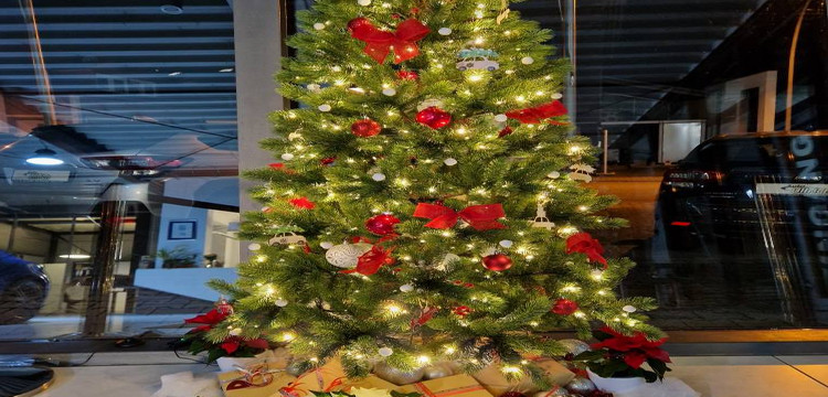 Weihnachtszeit...
